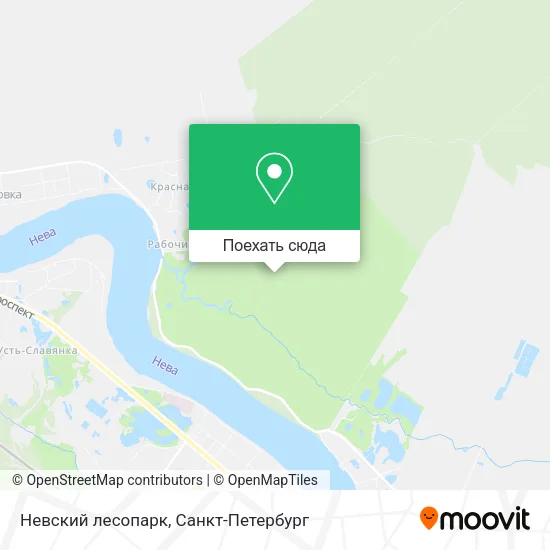 Карта Невский лесопарк