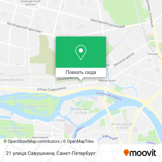 Карта 21 улица Савушкина
