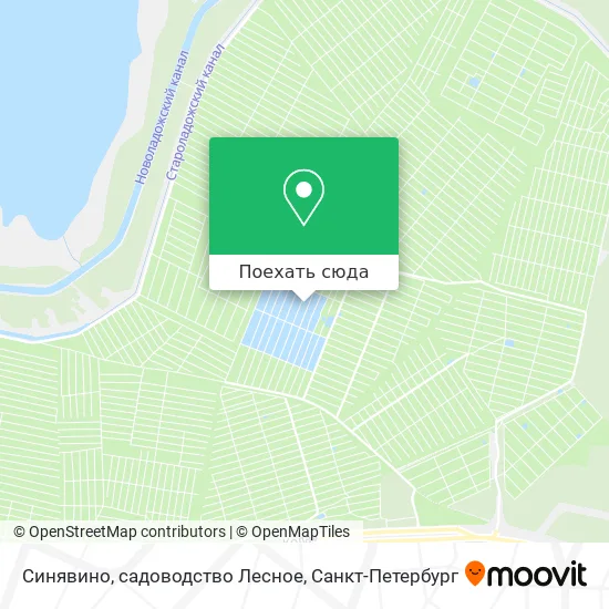 Карта Синявино, садоводство Лесное