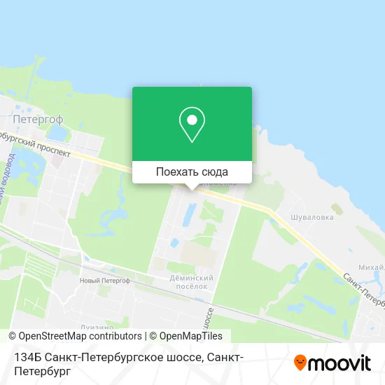 Карта 134Б Санкт-Петербургское шоссе