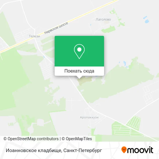 Карта Иоанновское кладбище