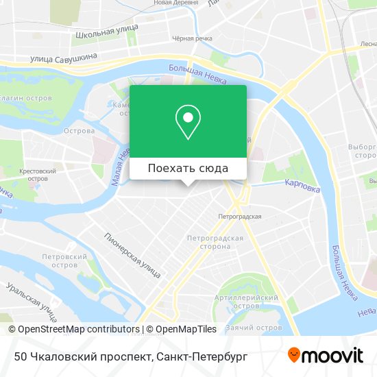 Карта 50 Чкаловский проспект