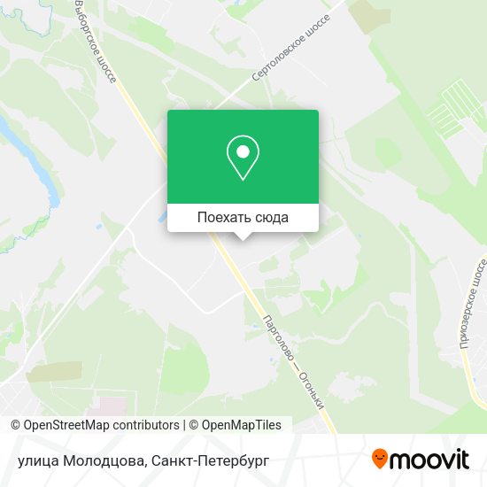 Карта улица Молодцова
