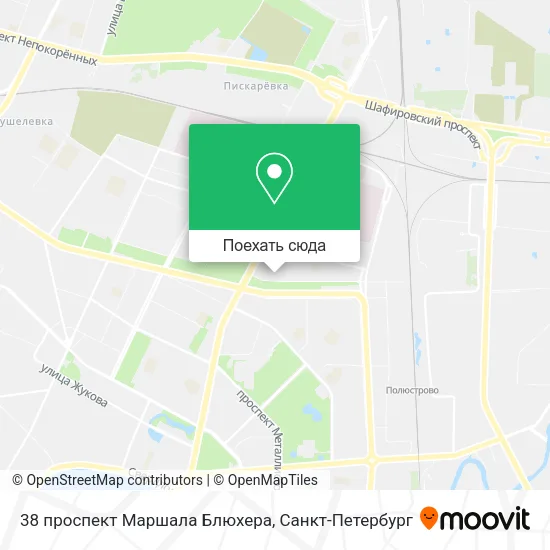 Карта 38 проспект Маршала Блюхера
