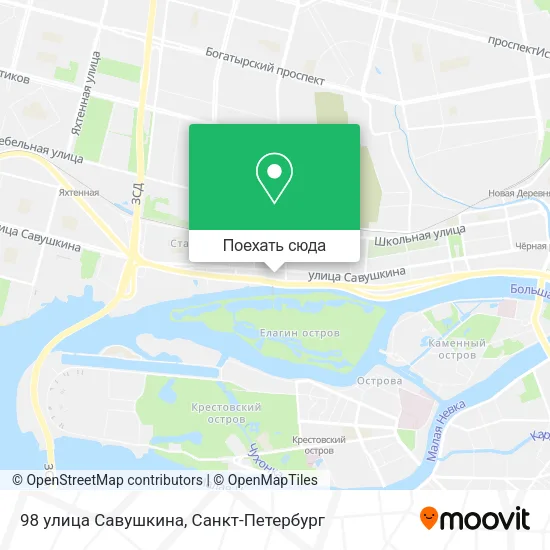 Карта 98 улица Савушкина