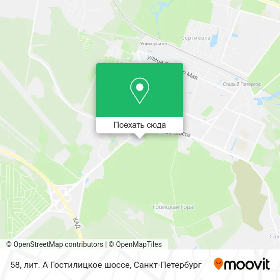 Карта 58, лит. А Гостилицкое шоссе