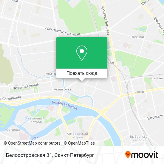 Карта Белоостровская 31