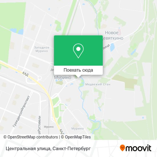 Карта Центральная улица