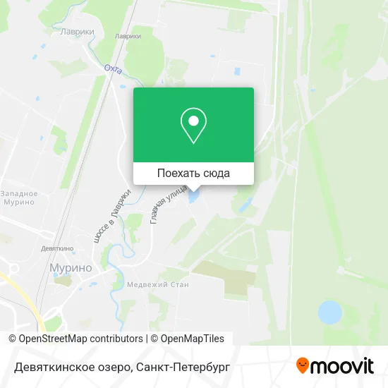 Карта Девяткинское озеро
