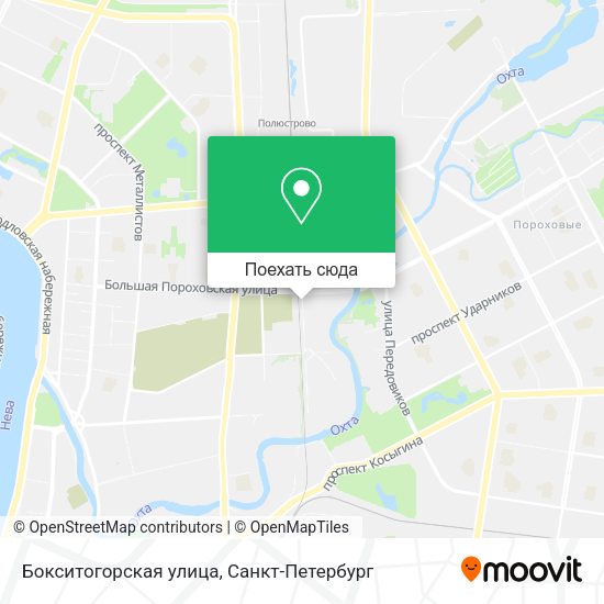 Карта Бокситогорская улица