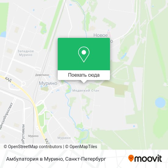 Карта Амбулатория в Мурино