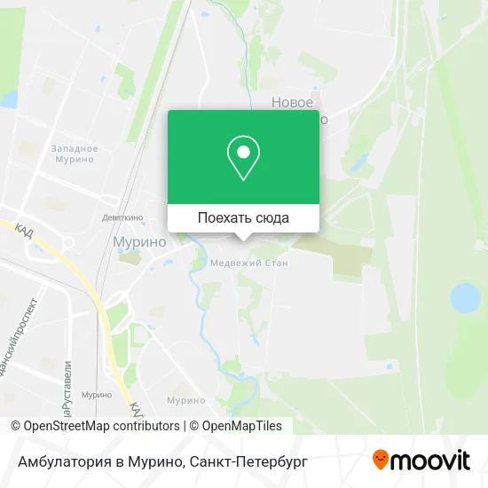 Карта Амбулатория в Мурино