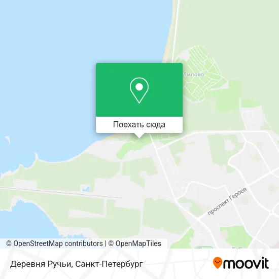 Карта Деревня Ручьи