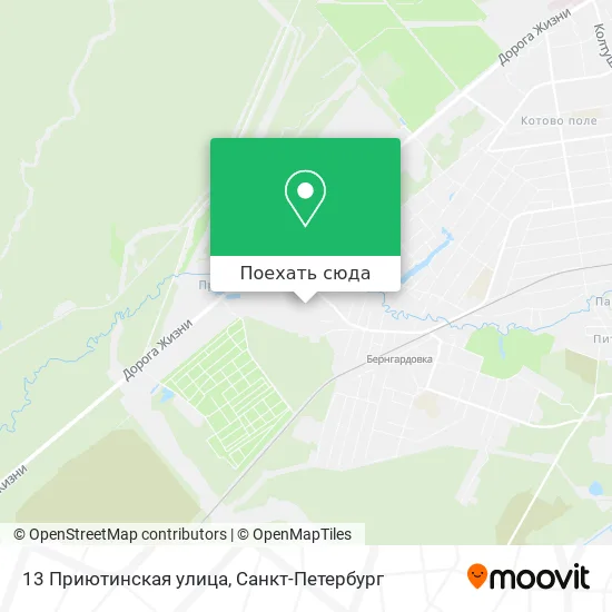 Карта 13 Приютинская улица