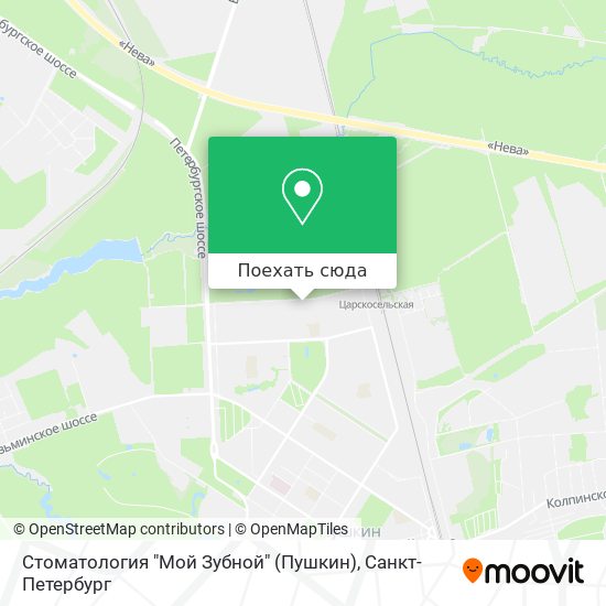 Карта Стоматология "Мой Зубной" (Пушкин)
