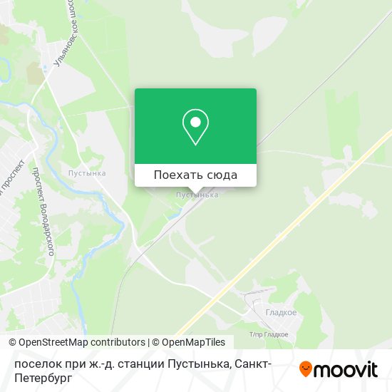 Карта поселок при ж.-д. станции Пустынька