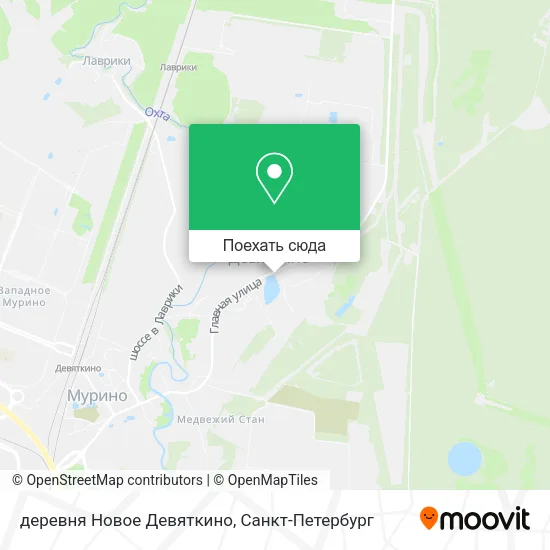 Карта деревня Новое Девяткино