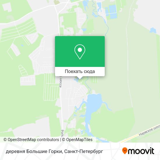 Карта деревня Большие Горки