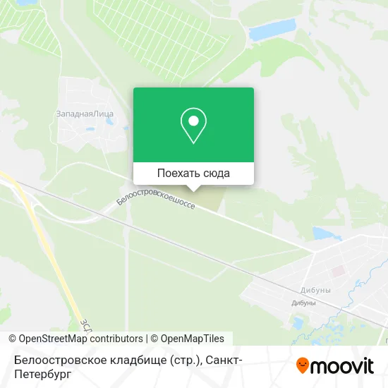 Карта Белоостровское кладбище (стр.)