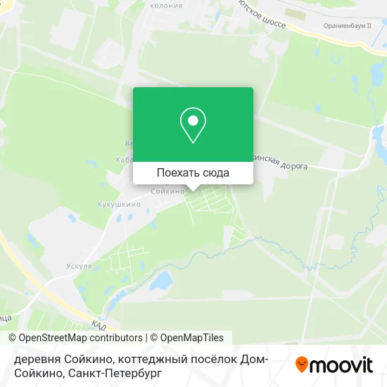 Карта деревня Сойкино, коттеджный посёлок Дом-Сойкино