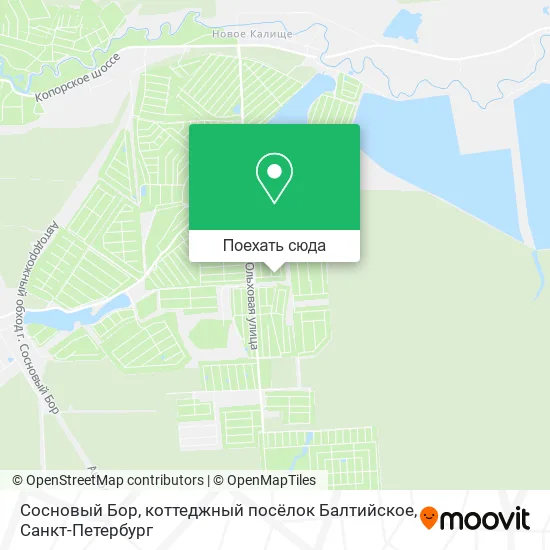 Карта Сосновый Бор, коттеджный посёлок Балтийское