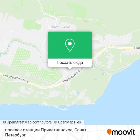 Карта поселок станции Приветнинское