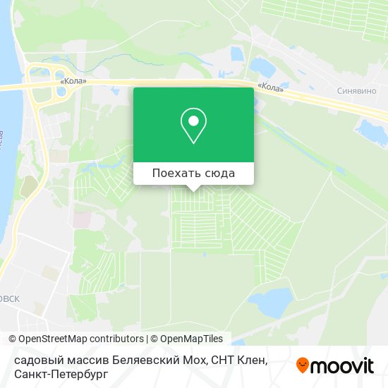 Карта садовый массив Беляевский Мох, СНТ Клен