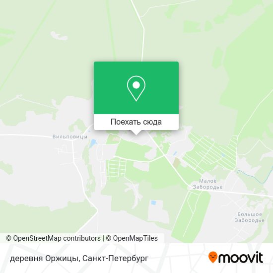 Карта деревня Оржицы