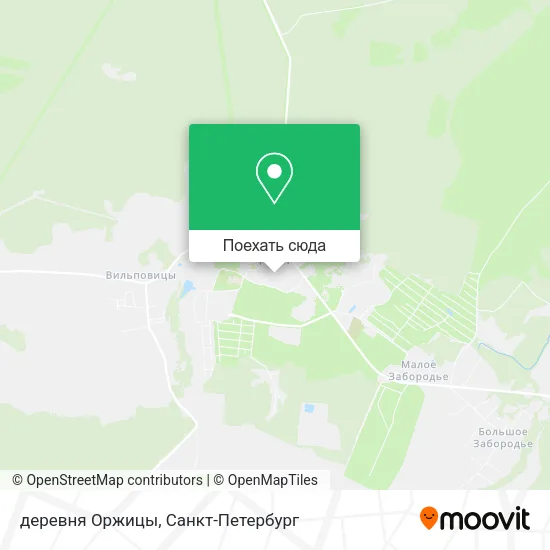 Карта деревня Оржицы