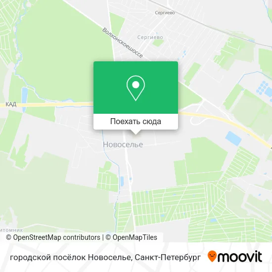 Карта городской посёлок Новоселье