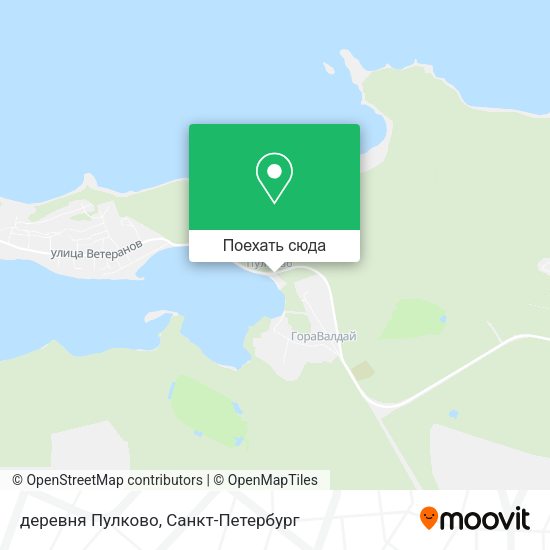 Карта деревня Пулково
