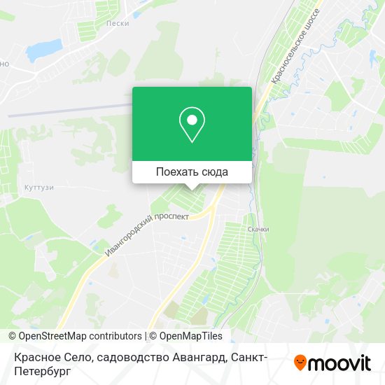 Карта Красное Село, садоводство Авангард