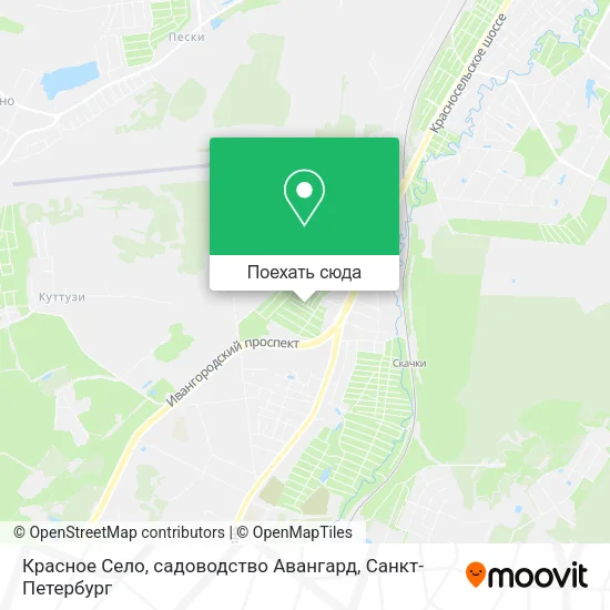 Карта Красное Село, садоводство Авангард