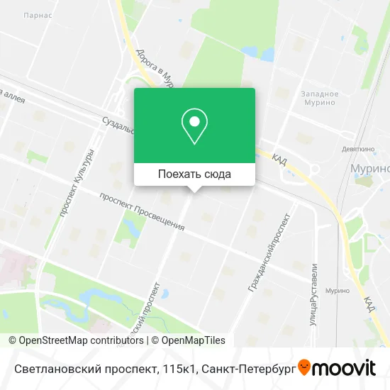 Карта Светлановский проспект, 115к1