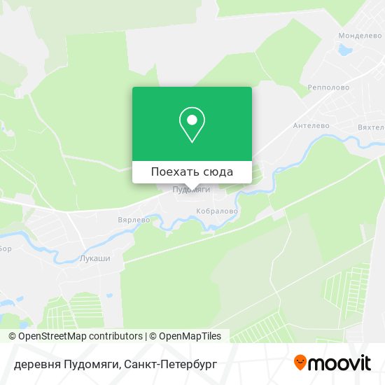 Карта деревня Пудомяги