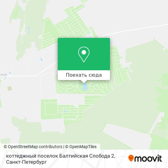 Карта коттеджный поселок Балтийская Слобода 2