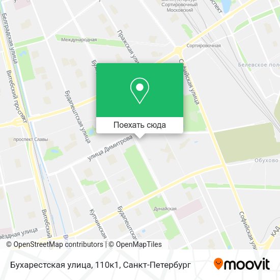 Карта Бухарестская улица, 110к1