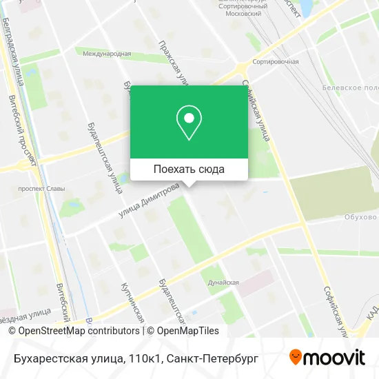 Карта Бухарестская улица, 110к1