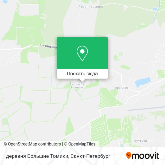 Карта деревня Большие Томики