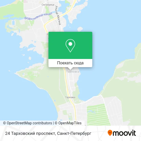 Карта 24 Тарховский проспект