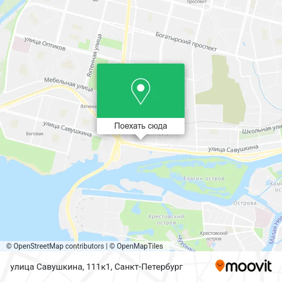 Карта улица Савушкина, 111к1