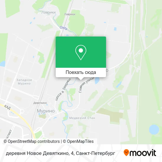 Карта деревня Новое Девяткино, 4