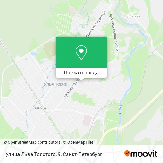 Карта улица Льва Толстого, 9