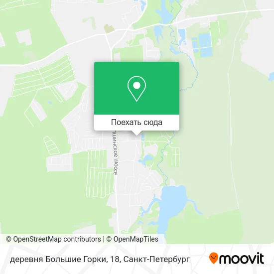 Карта деревня Большие Горки, 18