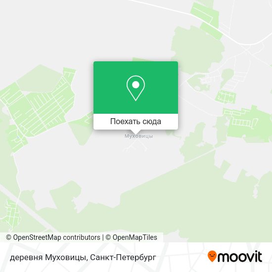 Карта деревня Муховицы