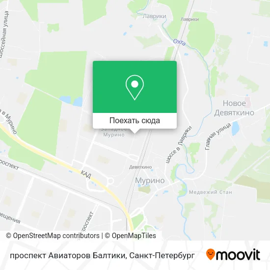 Карта проспект Авиаторов Балтики