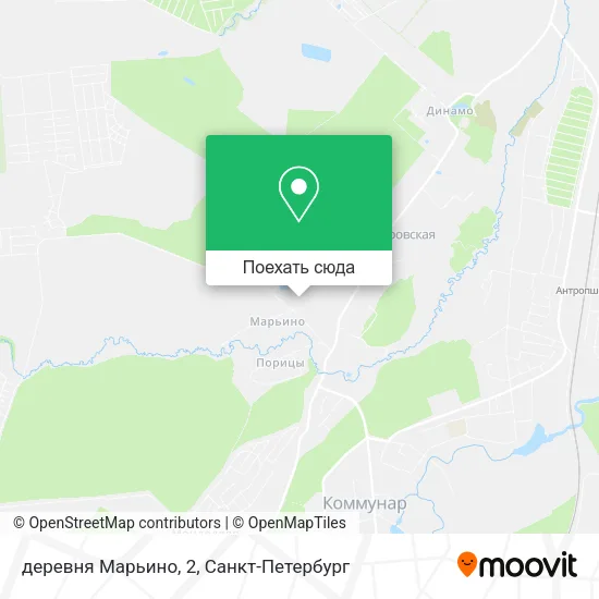 Карта деревня Марьино, 2