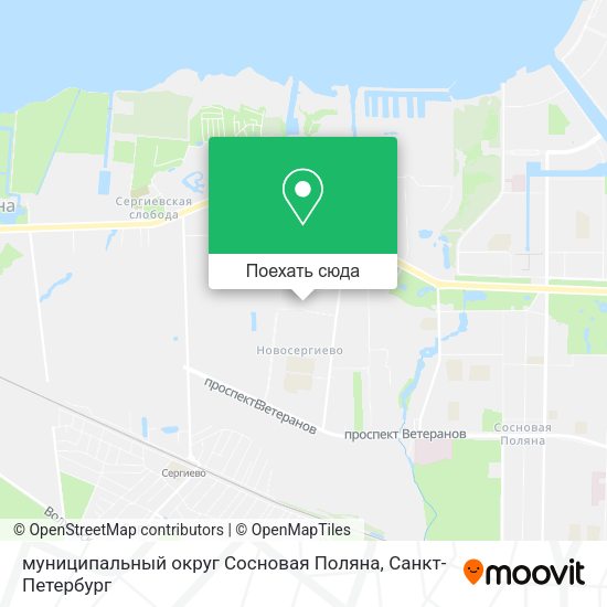 Карта муниципальный округ Сосновая Поляна
