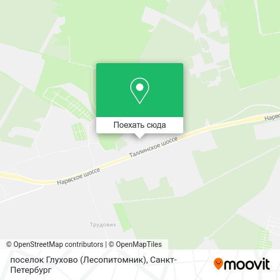 Карта поселок Глухово (Лесопитомник)