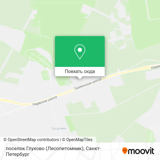 Карта поселок Глухово (Лесопитомник)